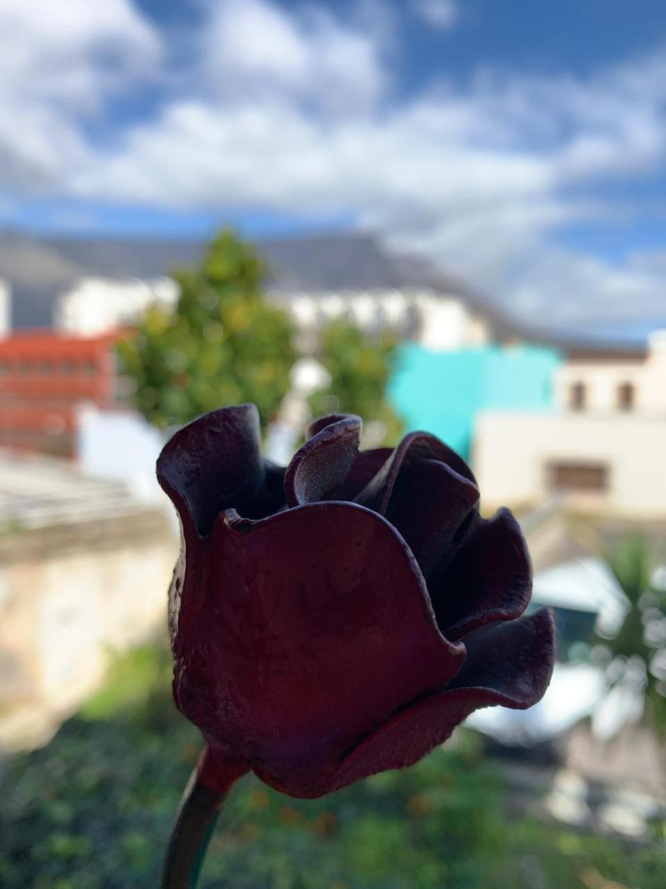 La Rose B&B ケープタウン エクステリア 写真